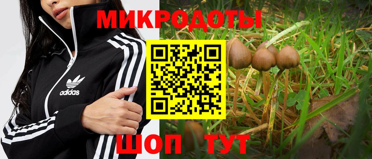 Вологда  Галлюциногенные грибы прущие грибы  Вход с VPN  Псилоцибиновые грибы Magic Shrooms 