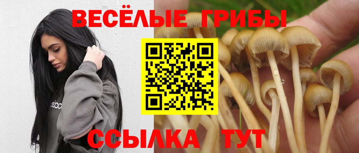 Галлюциногенные грибы Cubensis Вологда